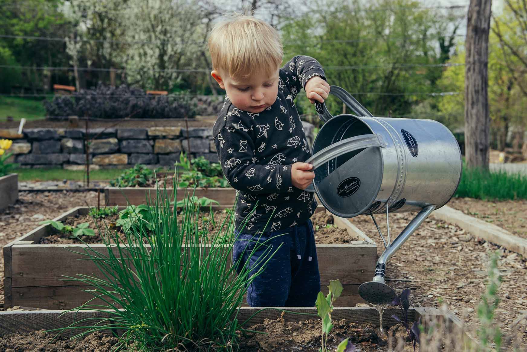A child watering a plant in a garden