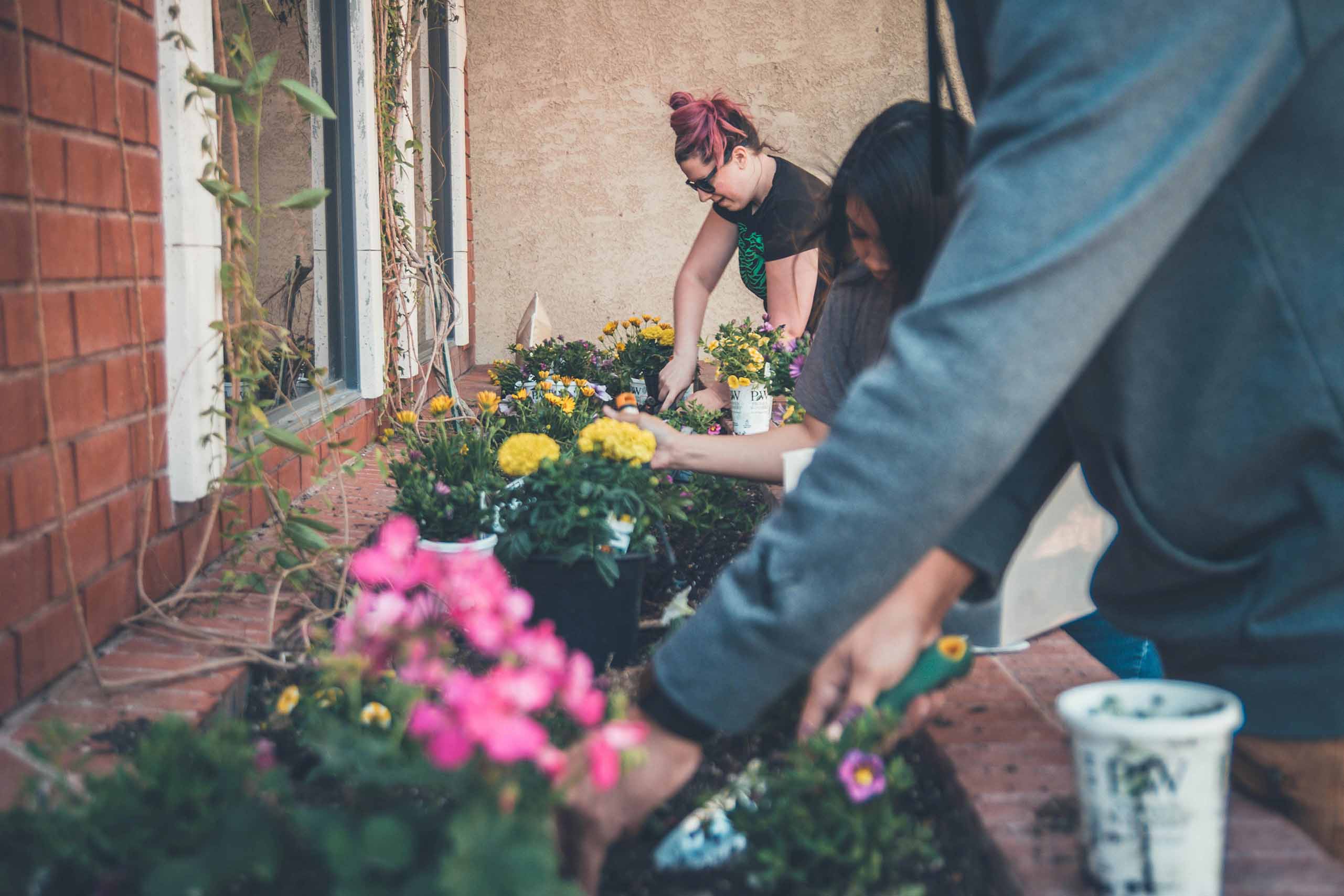 Community members participating in a gardening event at Sprout & Grow